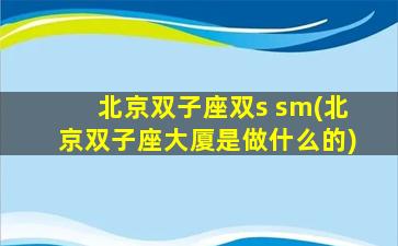 北京双子座双s sm(北京双子座大厦是做什么的)